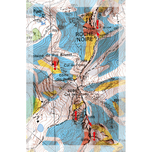 Freeride Map Grenoble Select | Backcountry Books