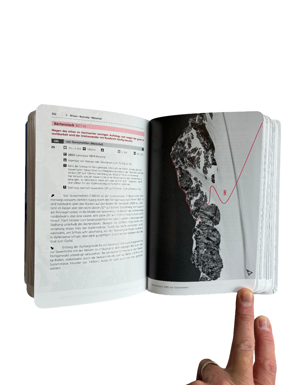 Ski Touring Guidebook to Central Switzerland Alps & Pre-Alps SAC | Backcountry Books