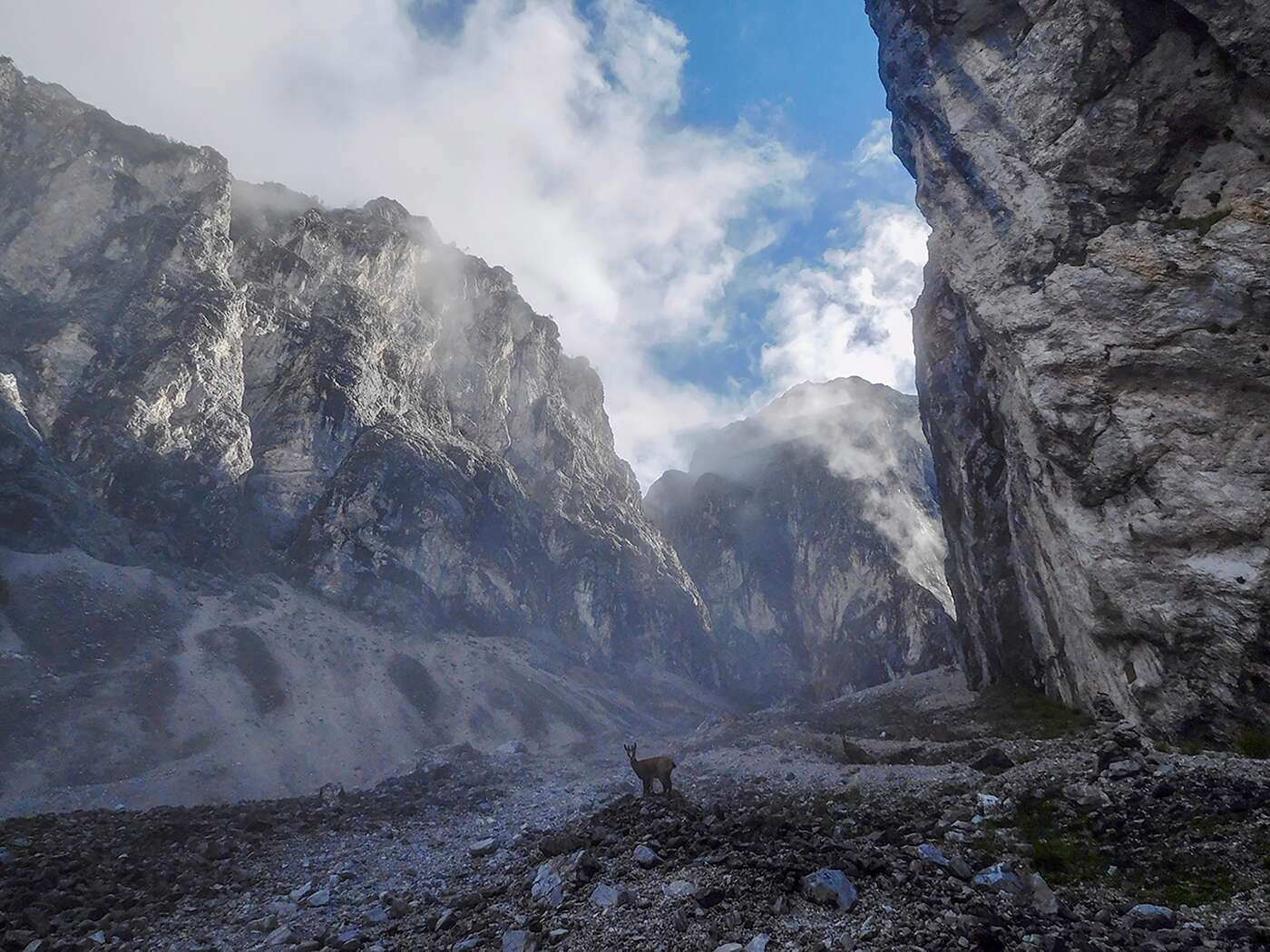 Innsbruck Mountain Adventures | Backcountry Books