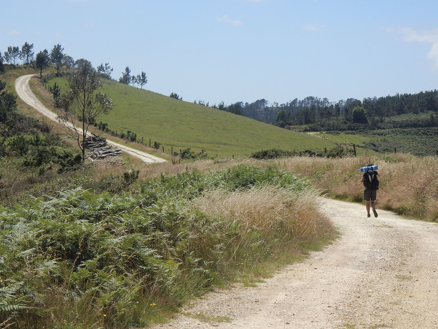 The Camino del Norte and Camino Primitivo | To Santiago de Compostela and Finisterre from Irun or Oviedo