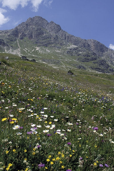 The GR5 Trail Guide Book | Backcountry Books