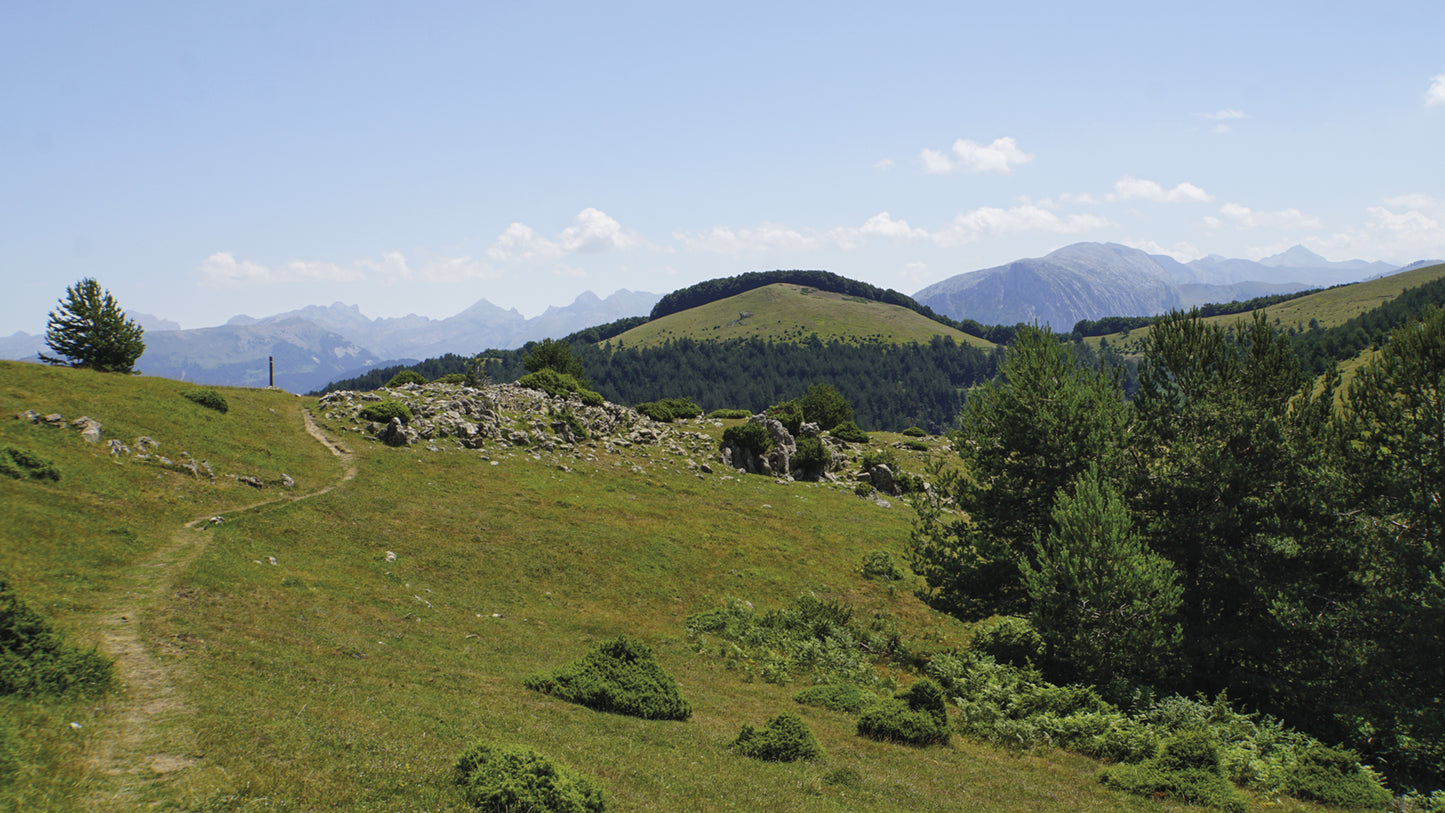 Trekking the GR11 Guide Book | Backcountry Books