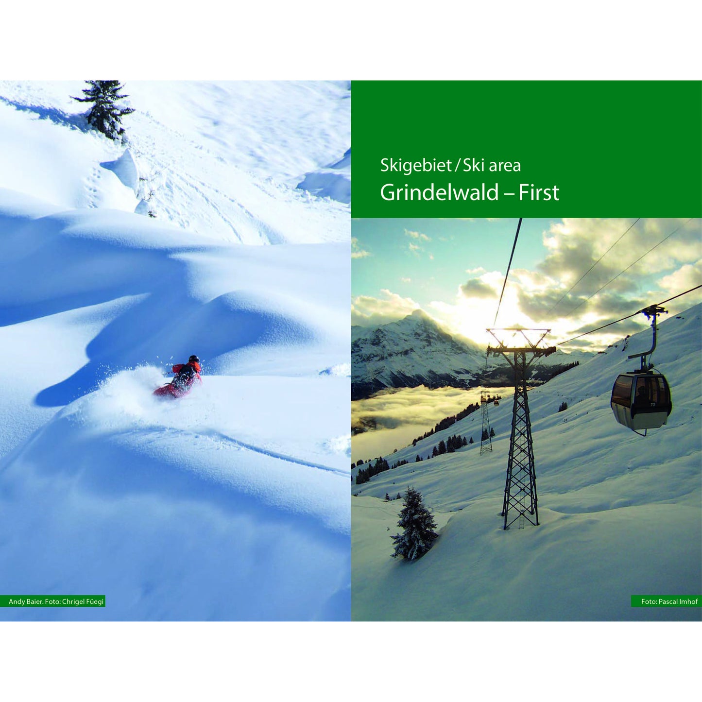 Freeride Guide Jungfrau Region | Backcountry Books