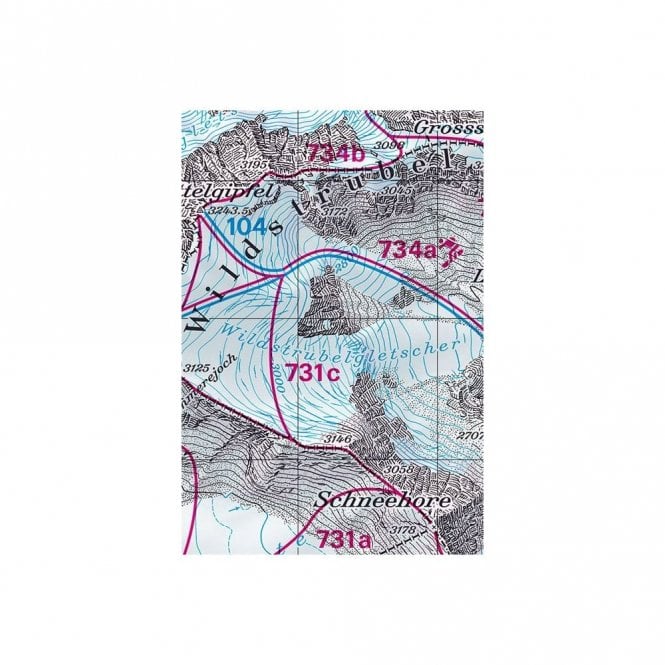 Swisstopo 273S Montana Map | Backcountry Books