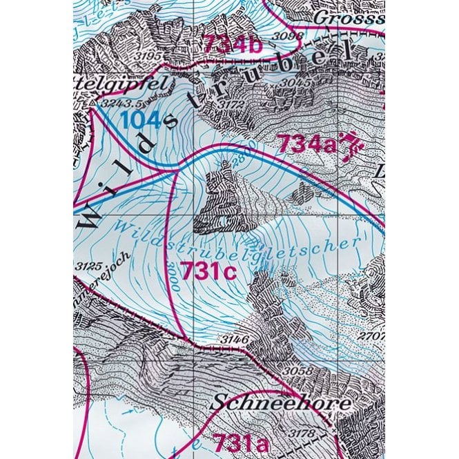 Swisstopo 254 S Interlaken Ski Touring Map | Backcountry Books